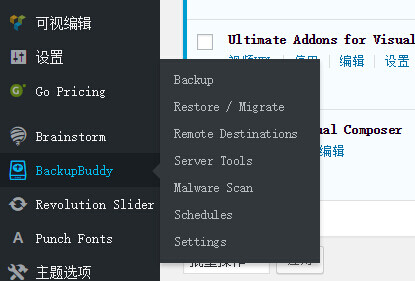 WordPress换域名如何整站迁移？BackupBuddy使用教程