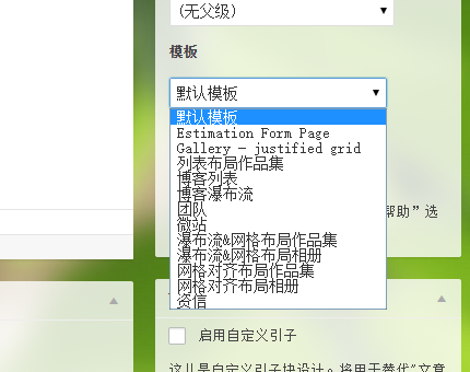 解决WordPress在新建页面无法选择主题页面模板 WordPress无法识别主题 解决WordPress在新建页面无法选择主题页面模板 WordPress无法识别主题