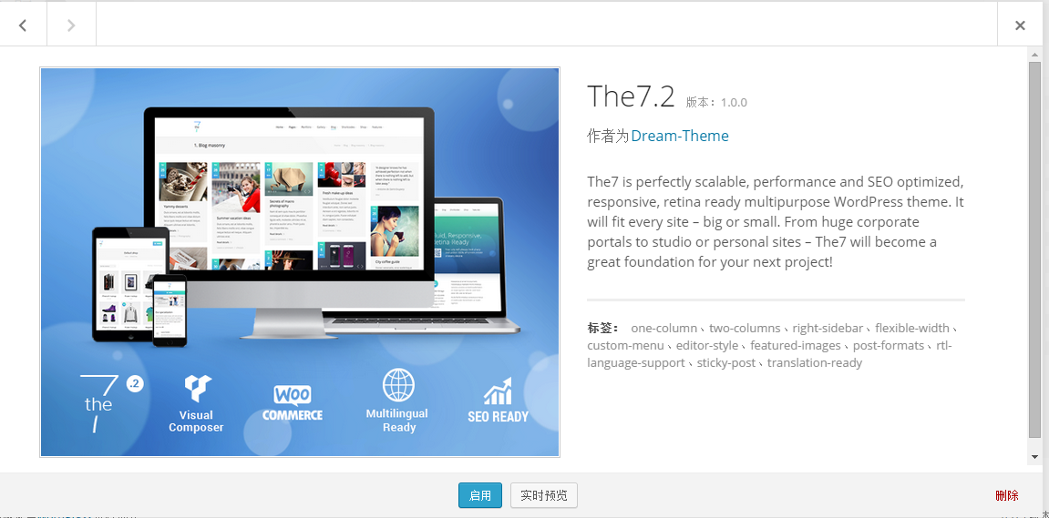 WordPress The7 使用教程 The7 汉化版下载