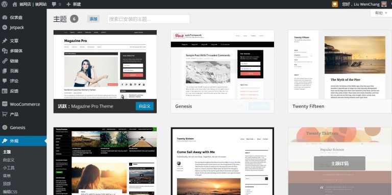 WordPress-Themes-768x382