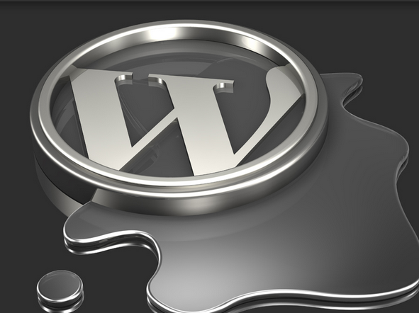 WordPress WordPress博客 WordPress主题 WordPress优化