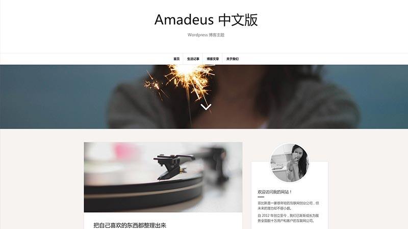 Amadeus | 中文版、汉化版 博客 简约 两栏 响应式 WordPress 主题
