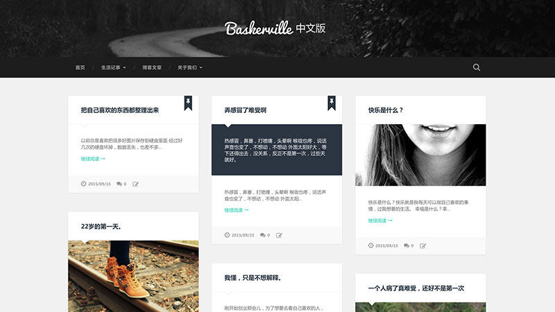 Baskerville | 中文版、汉化版 收藏家 博客 简约 响应式 两栏 WordPress 主题