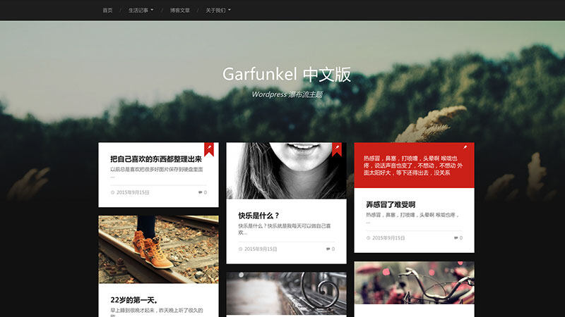 Garfunkel | 中文版、汉化版 收藏家 博客 简约 响应式 两栏 WordPress 主题