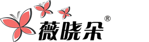薇晓朵网络工作室 logo
