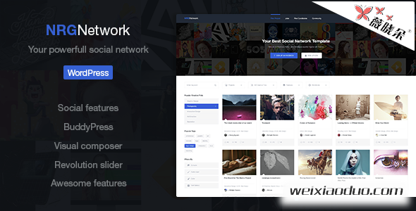 WordPress 作品展示社羣論壇漢化主題 Nrgnetwork 1.4.5