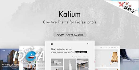 WordPress 攝影作品展示主題 Kalium 中文版、漢化版更新至 v1.9