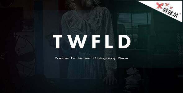 TwoFold Photography – WordPress 全屏攝影主題中文版、漢化版 [V1.4.0]