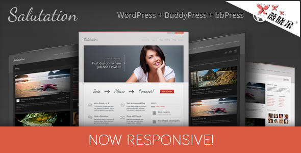 Salutation – WordPress 響應 BuddyPress 主題中文版、漢化版 [V3.0.13]