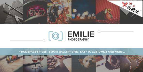 Emilie – 攝影作品 WordPress 主題中文版、漢化版 [V1.2]