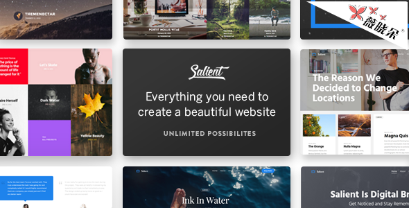 Salient – WordPress 响应多用主题中文版、汉化版 [V7.6]