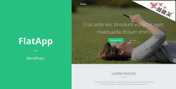 FlatApp – WordPress APP 着陸頁主題中文版、漢化版 [V1.0]