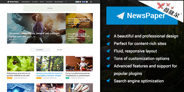 NewsPaper – WordPress 漂亮的雜誌主題中文版、漢化版 [V2.0.6]