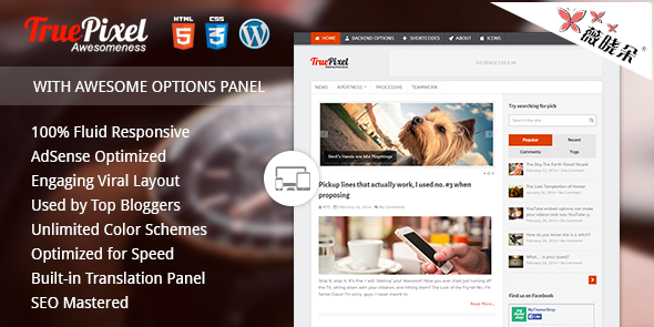 TruePixel – WordPress 響應靈活主題中文版、漢化版 [V4.0.3]