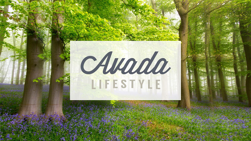 Lifestyle – Avada 主题演示整站，离线下载
