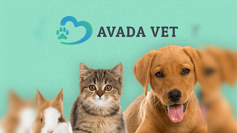 Veterinarian – Avada 主题演示整站，离线下载