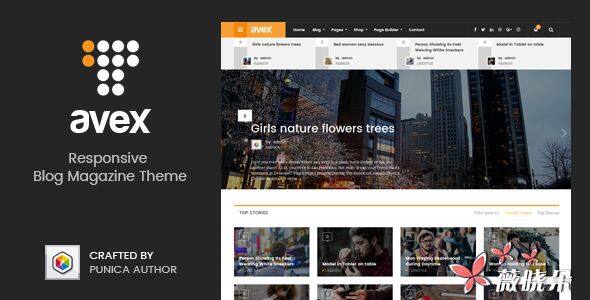 Avex v1.0.9 中文版、漢化版 – WordPress 雜誌主題