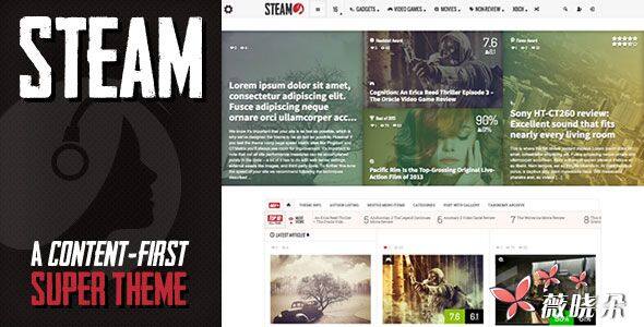 Steam v1.12 中文版、漢化版 – 自適應視網膜評論雜誌 WordPress 主題