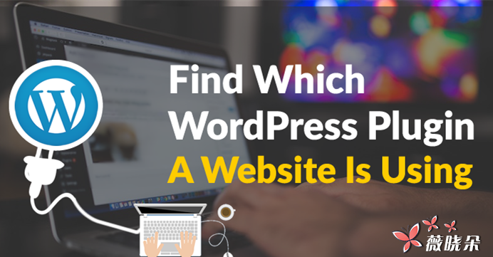 如何找出某個 WordPress 網站正在使用哪些插件？