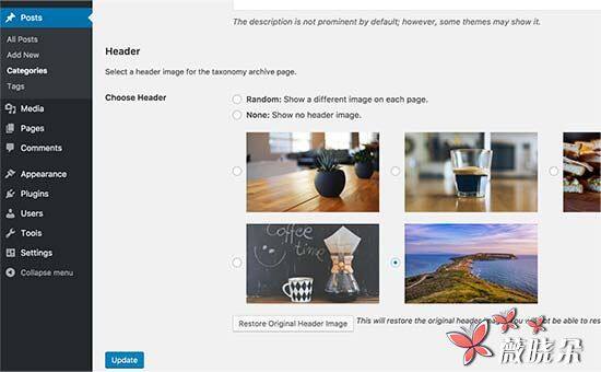 如何添加随机头部图片到您的WordPress博客