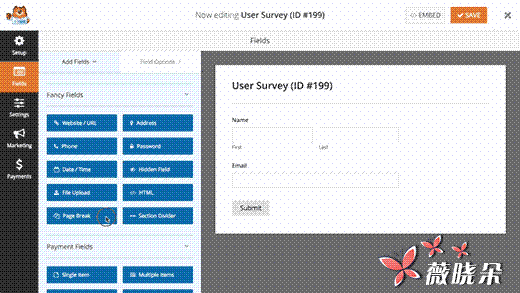 How to Create a Multi-Page Form in WordPress