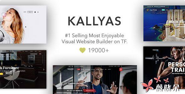 KALLYAS v4.10.2 中文版、漢化版 – 響應多用途 WordPress 主題