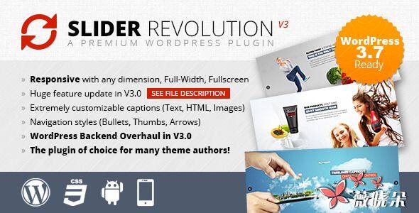 Revolution v4.6.5 WordPress 幻燈片插件中英文版