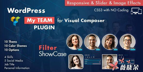 Team Showcase for Visual Composer Plugin v3.1