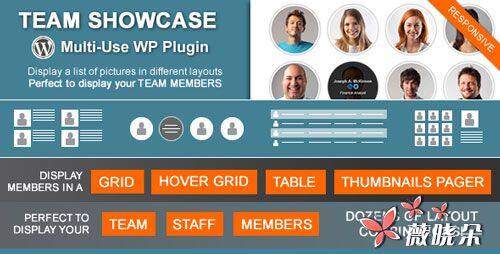 Team Showcase v1.7.75 中文版、漢化版 – Codecanyon WordPress 插件