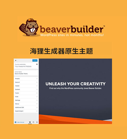 beaverbuilder-theme-cv