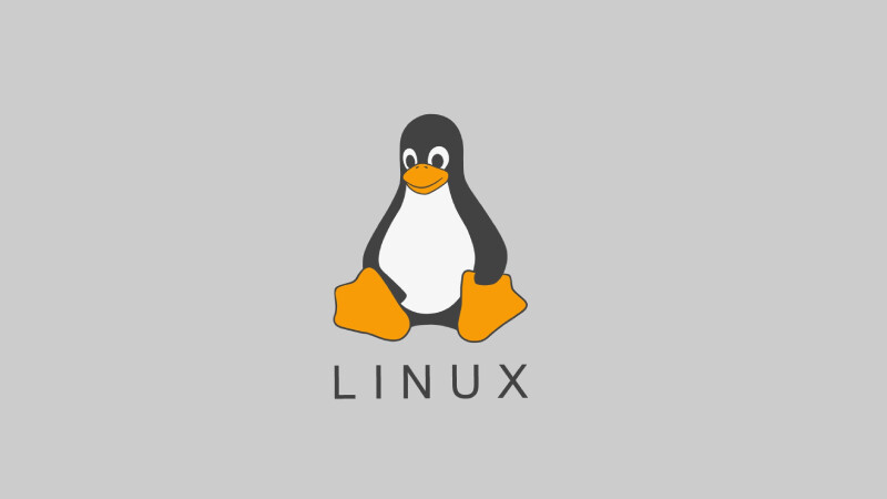 远程数据服务器切换至 Linux 系统，现已恢复正常工作，薇晓朵教育平台预计月底上线。