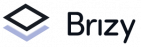 Brizy 中文 Logo