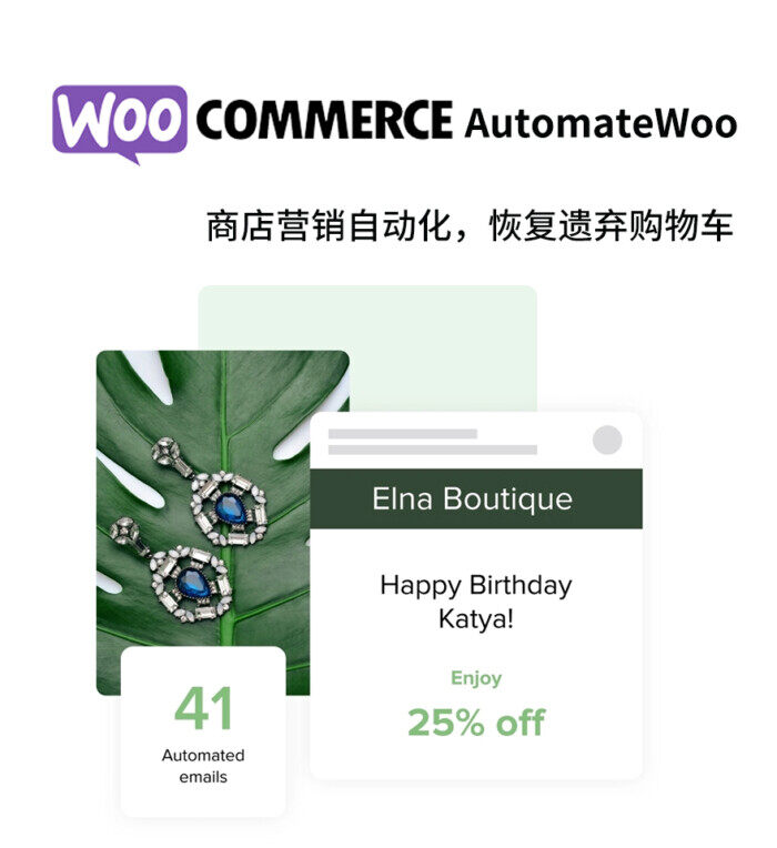 AutomateWoo | 商店营销自动化 后续营销 恢复购买 邮件营销