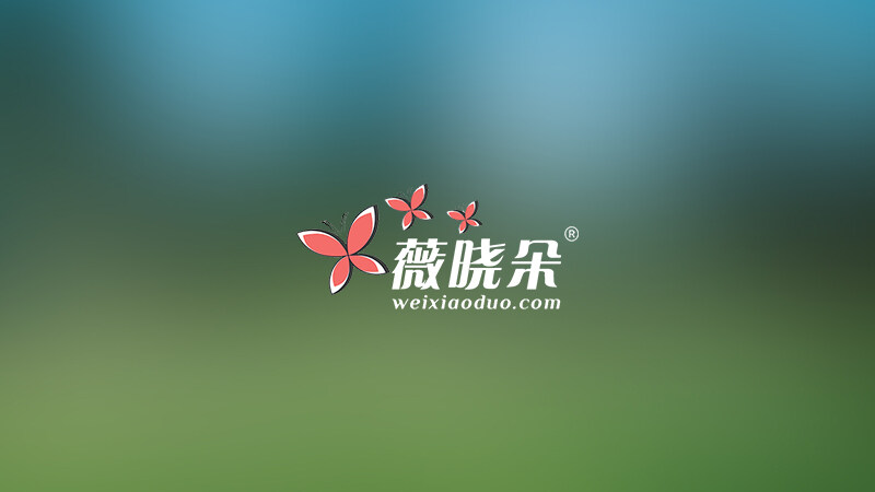 WordPress 翻译系统（WPfanyi.com）上线，免费提供中文语言包下载。